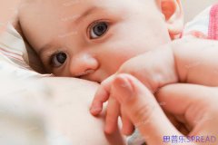 海外试管十年路-我用真心陪你闯关-美国泰国选择指南