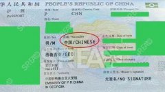 美国生完孩子签证被拒-lina的肺腑之言和实用支招