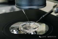 生柴政策收紧-lina和客户们如何摸黑找路