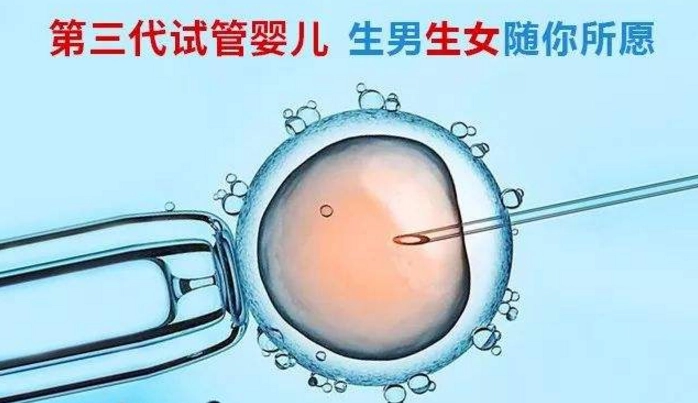 新鲜出炉的2024广州供卵助孕私立医院名单与费用清单一览
