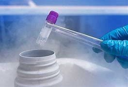 泰国试管婴儿的总费用是多少?都有那些步骤?（附试管流程费用明细介绍）