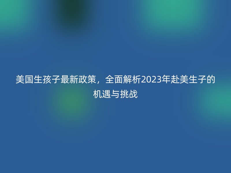 美国生孩子最新政策，全面解析2023年赴美生子的机遇与挑战