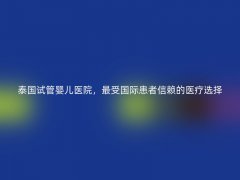 泰国试管婴儿医院，最受国际患者信赖的医疗选择