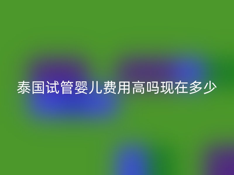 泰国试管婴儿费用高吗现在多少