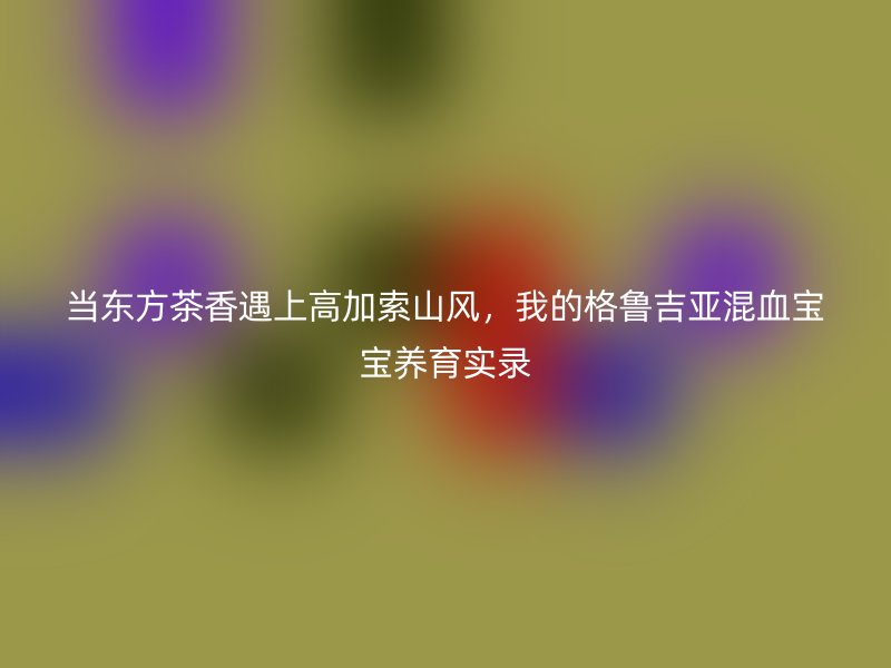 当东方茶香遇上高加索山风，我的格鲁吉亚混血宝宝养育实录