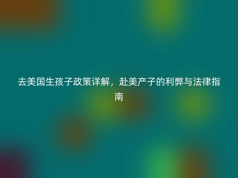 去美国生孩子政策详解，赴美产子的利弊与法律指南