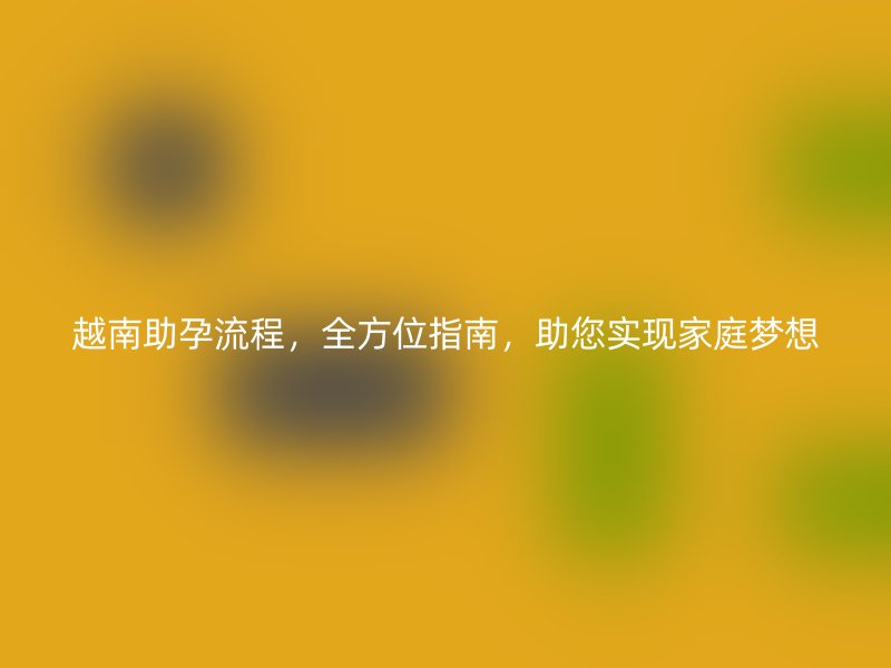 越南助孕流程,全方位指南,助您实现家庭梦想