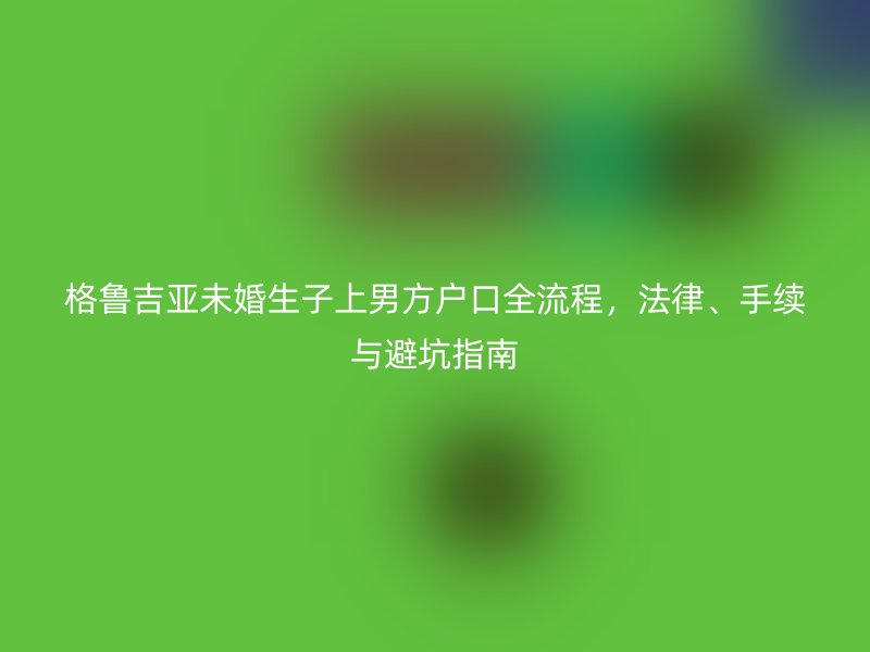 格鲁吉亚未婚生子上男方户口全流程,法律、手续与避坑指南