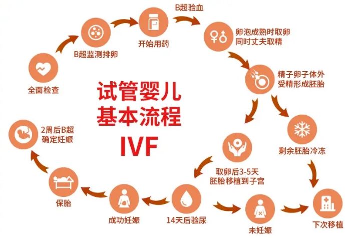 格鲁吉亚ICSI技术成功率为何领跑全球？一位从业10年的助孕顾问的深度解析