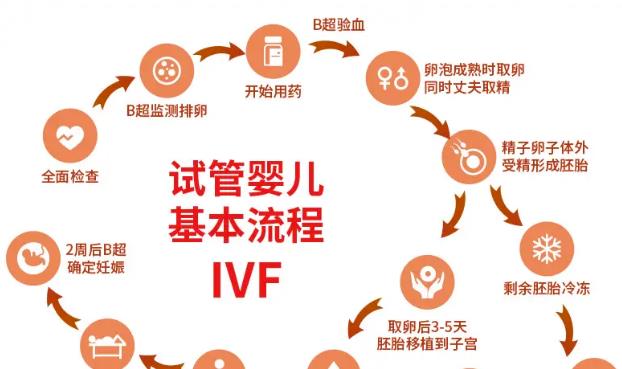 泰国试管医院价格，全面解析与费用对比