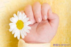 老友支招-在格鲁吉亚做试管助孕-这些血泪经验值得提前十年知道