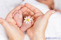 正规美国试管婴儿医院-十年顾问lina的老朋友碎碎念