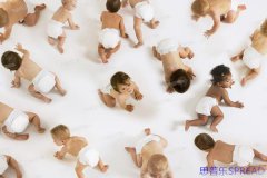泰国试管成功率比国内高吗-十年助孕顾问的真心话