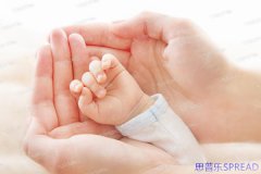 泰国试管助孕机构怎么选-从业十年顾问的掏心窝建议