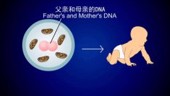 吉尔吉斯斯坦助孕中心-一位十年顾问的真实支招