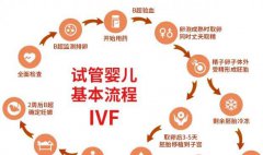 在美国生孩子有什么福利-一位十年助孕顾问的真心对谈