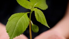 走过助孕十年风雨路-聊聊吉尔吉斯斯坦那些暖心的可能