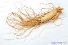 泰国助孕生子费用真相曝光-省下的钱可能毁了你的求子路