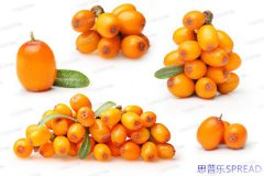 泰国助孕机构十年亲历者手记-新规之下-如何安心启程