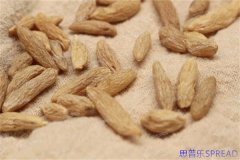 在曼谷的咖啡香里-聊聊泰国lrc这些年-一位老顾问的真心话