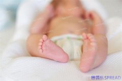 2025年格鲁吉亚生子政策全解读｜15年海外助孕顾问Lina的真心话