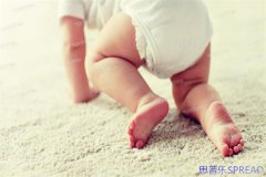 好孕添嗣 格鲁吉亚：一位助孕顾问的真诚分享