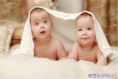 美国辅助生殖个人所得税优惠-助孕路上的意外惊喜