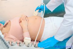 泰国卵子受精率提升技术-为何成功率翻倍却鲜少人知