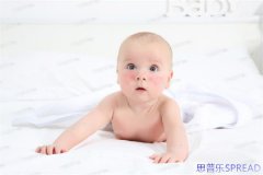 lina老友支招-泰国试管哪家好-十年经验-助你安心选对