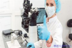 曼谷的晨光映着我们的小心翼翼-十年顾问眼里的泰国试管真实路