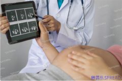 当我们在异国迎来新生命：一位助孕顾问的回国落户指南