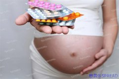 越南代人生孩子：一位助孕顾问的真诚手记