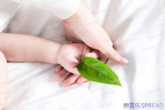 爱心妈妈助孕多少钱一次-一位从业12年的顾问说点掏心窝子的话