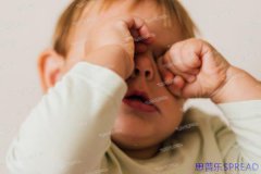 杰特宁的十年对话-当试管遇上泰式温度-一位老友的助孕手记