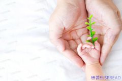 美国婴儿试管机构怎么选-十年助孕顾问lina手把手教你避坑