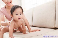 泰国试管国内正规中介有哪些-助孕顾问lina的掏心窝子建议