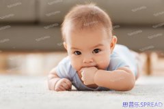 格鲁吉亚助孕合法中介，12年老友Lina的几句实在话