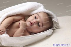 梅奥诊所助孕之路-一个十年顾问的真心话