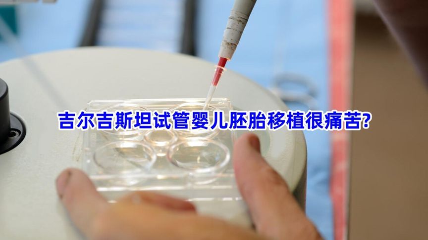 吉尔吉斯坦试管婴儿胚胎移植很痛苦
