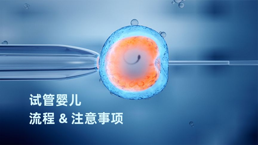 德国试管婴儿
