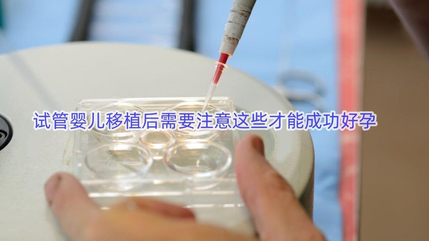 美国哈萨克斯坦试管婴儿移植后需要注意这些才能成功好孕哦