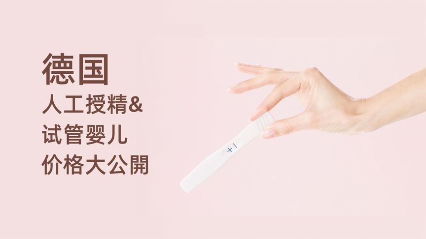 在德国人工授精 &amp; 试管婴儿的花费是多少