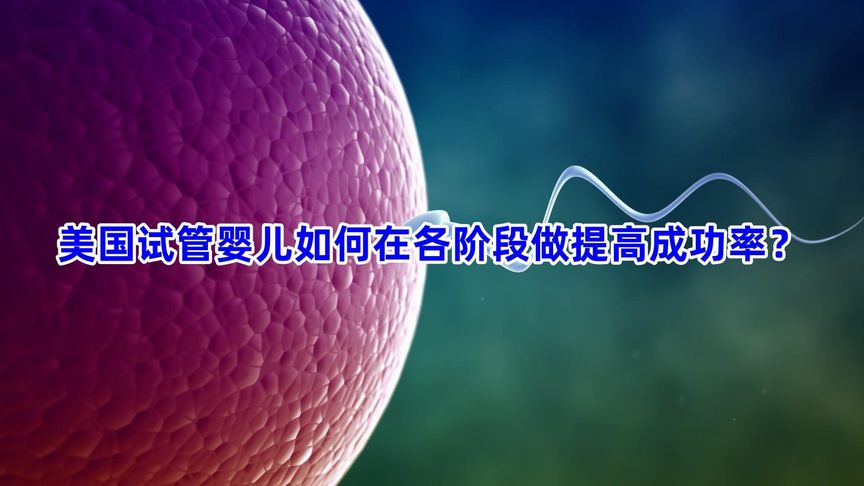 美国试管婴儿如何在各阶段做提高成功率？