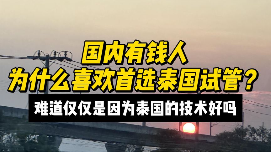 国内有钱人为什么喜欢首选泰国试管？难道仅因为泰国的技术好吗
