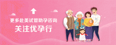 【les试管婴儿】：如何拥有自己的宝宝？