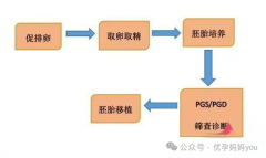 三代试管婴儿整体流程，三代试管单周期详情。