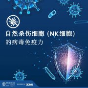 了解泰国BWC医院NK细胞的真正实力