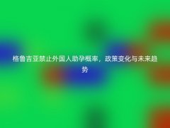 格鲁吉亚禁止外国人助孕概率，政策变化与未来趋势