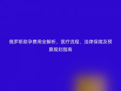 俄罗斯助孕费用全解析，医疗流程、法律保障及预算规划指南