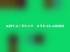 美国生孩子最新政策，全面解读与实用指南